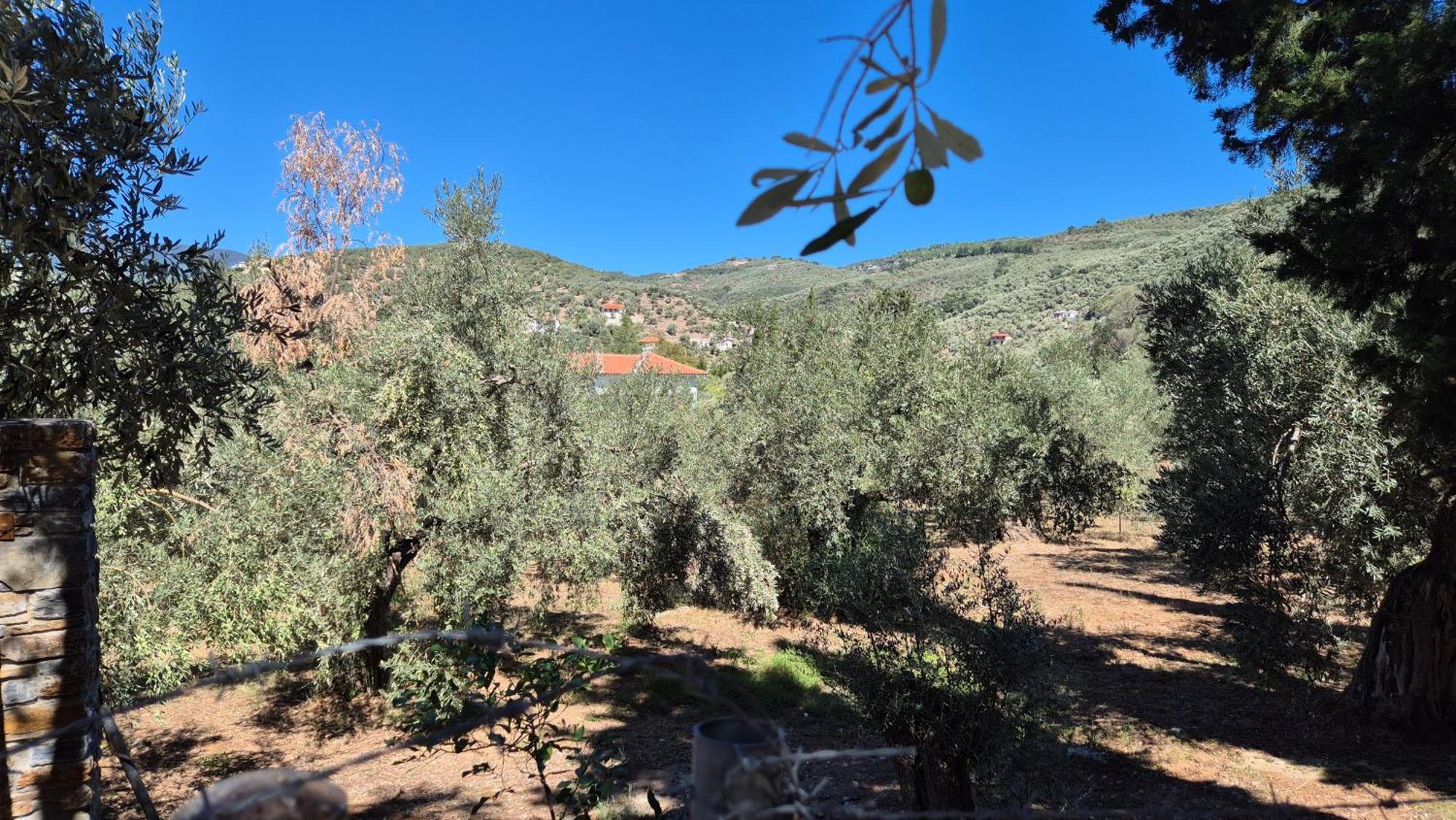 Villas On The Rock אפיסוס מראה חיצוני תמונה
